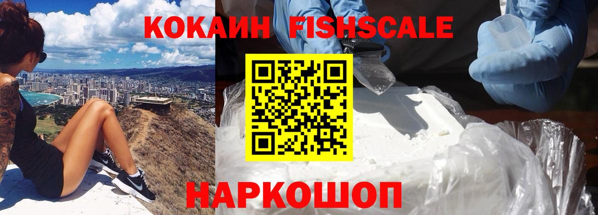 Псилоцибиновые грибы Вологда