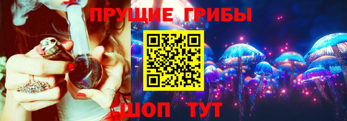 Галлюциногенные грибы мицелий  где можно купить наркотик  Вологда  Вход с VPN 